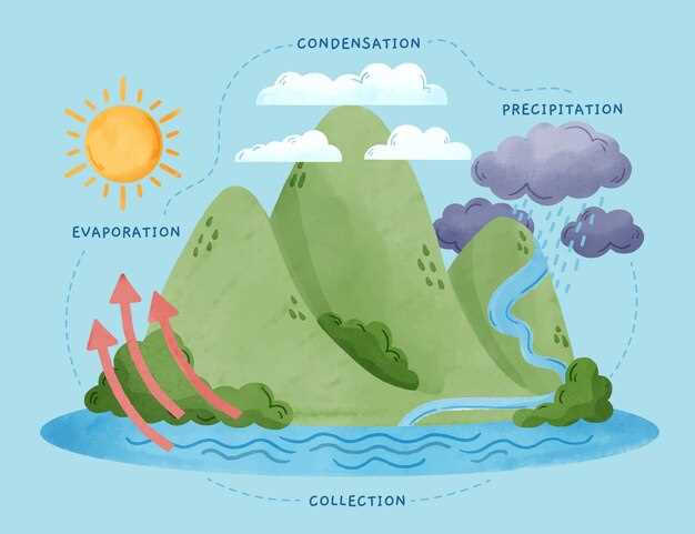 Эрозия: особенности и причины возникновения